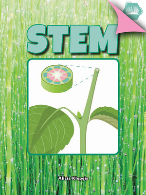 cover image of Stem